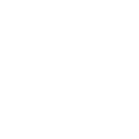 Licensed & Certified Technicians icon
